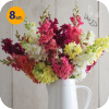 ANTIRRHINUM MAJUS MADAME BUTTERFLY MIX 8 SZTUK
